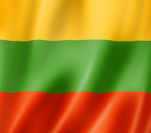 Skelbiamas viešasis atviras Lietuvių kalbos mokymų Lietuvoje apsigyvenusiems trečiųjų asmenų piliečiams organizavimo ir vedimo paslaugos pirkimas